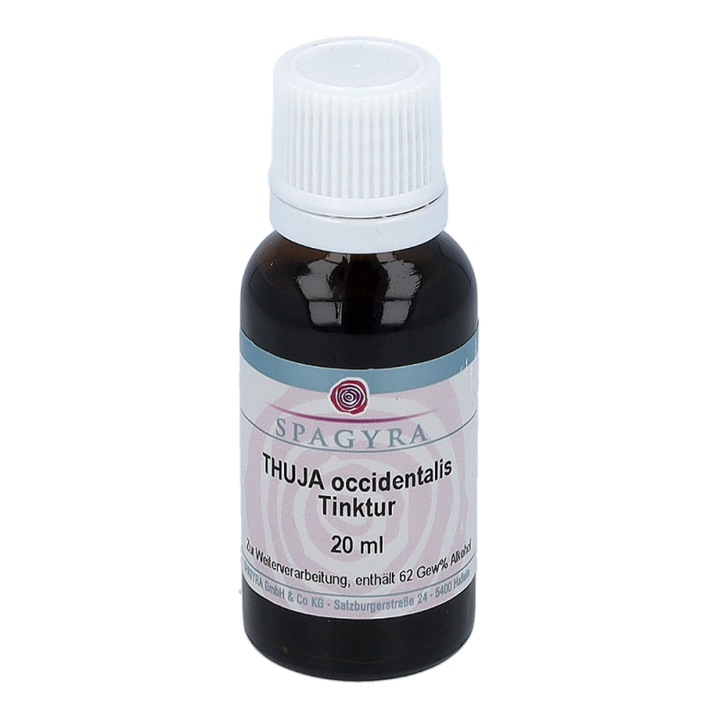 Thuja Spagyra 20 ml Urtinktur - Seestadt-Apotheke