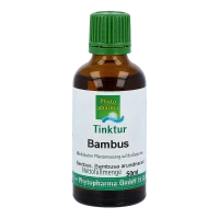 Olivenbaum Gemmo Mazerat - Tullnerfeld Apotheke